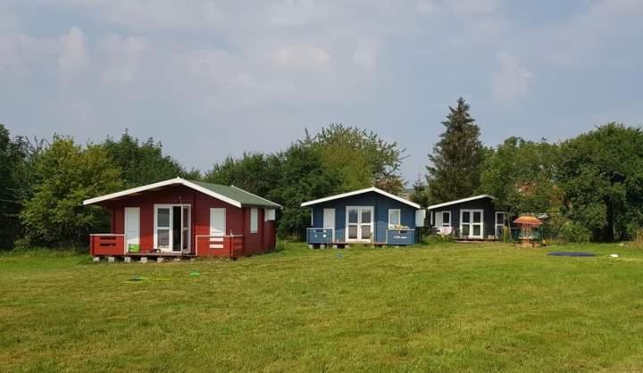 Kiszkowianka Domki Skrzeszewo  外观 照片